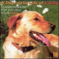 Various - A Day In The Life Of Lucky i gruppen CD / Toppselgere hos Bengans Skivbutik AB (3677297)