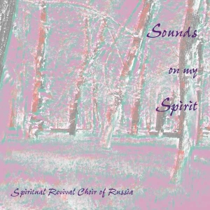 Various - Sounds On My Spirit i gruppen CD hos Bengans Skivbutik AB (3677539)