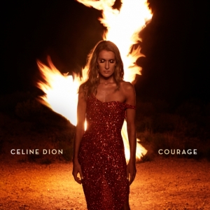 Dion Céline - Courage i gruppen -Start CD-N hos Bengans Skivbutik AB (3678736)