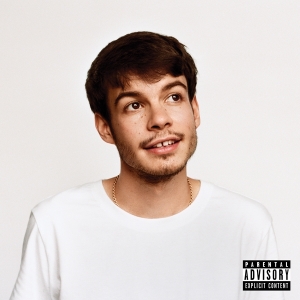 Rex Orange County - Pony i gruppen VINYL hos Bengans Skivbutik AB (3679203)