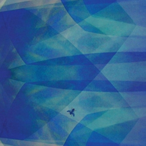 Baptista Cyro - Bluefly i gruppen CD hos Bengans Skivbutik AB (3681471)