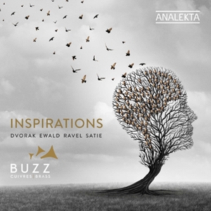 Dvorak Antonin Ewald Victor Rav - Inspirations i gruppen CD hos Bengans Skivbutik AB (3681736)