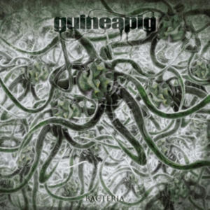 Guineapig - Bacteria i gruppen VINYL / Rock hos Bengans Skivbutik AB (3691879)