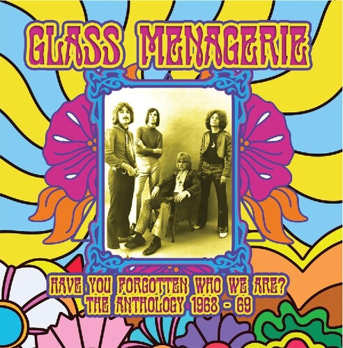 The Glass Menagerie - Have You Forgotten Who We Are? i gruppen CD / Pop hos Bengans Skivbutik AB (3694563)