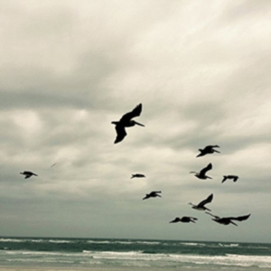 Berger Karl - In A Moment - Music For Piano And S i gruppen CD hos Bengans Skivbutik AB (3694566)