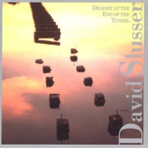 Slusser David - Delight At The End Of The Tunnel i gruppen CD hos Bengans Skivbutik AB (3694609)