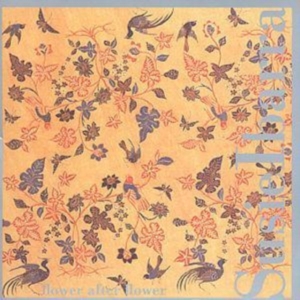 Ibarra Susie - Flower After Flower i gruppen CD hos Bengans Skivbutik AB (3694642)