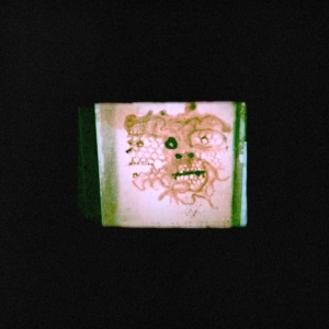 Orrick Chris & The Lasso - I Read That I Was Dead i gruppen VINYL / Hip Hop-Rap hos Bengans Skivbutik AB (3700894)