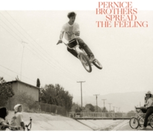 Pernice Brothers - Spread The Feeling i gruppen CD hos Bengans Skivbutik AB (3701132)