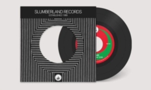 Lake Ruth - Extended Leave i gruppen VINYL hos Bengans Skivbutik AB (3701143)