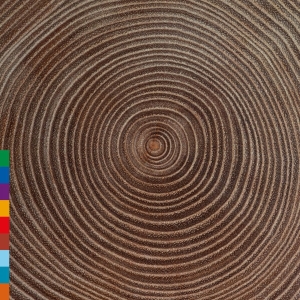 Ali Khan Amjad - Moksha i gruppen CD hos Bengans Skivbutik AB (3701150)