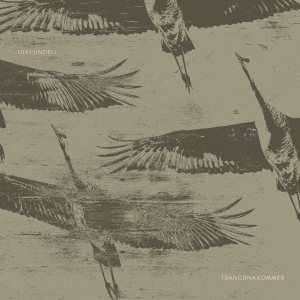 Ulf Lundell - Tranorna Kommer i gruppen CD hos Bengans Skivbutik AB (3702222)