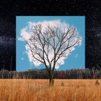 Fink - Bloom Innocent i gruppen CD hos Bengans Skivbutik AB (3704385)