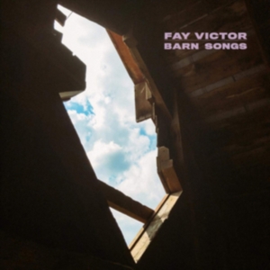Victor Fay - Darn Songs i gruppen CD hos Bengans Skivbutik AB (3704817)