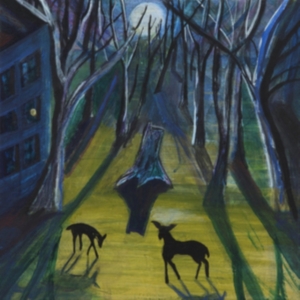 Quinn Donovan - Absalom i gruppen VINYL hos Bengans Skivbutik AB (3716994)