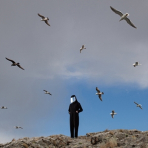 Hamerkop - Remote i gruppen VINYL / Pop-Rock hos Bengans Skivbutik AB (3719408)