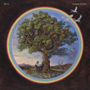 Bill Fay - Countless Branches (Deluxe Version) i gruppen CD hos Bengans Skivbutik AB (3722088)