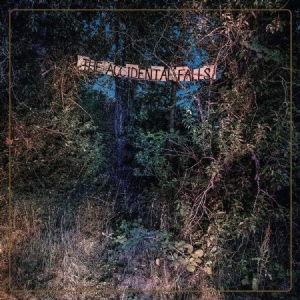 Eyelids - Accidental Falls i gruppen CD hos Bengans Skivbutik AB (3723827)