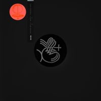 Leon Vynehall - I, Cavallo i gruppen VINYL / Dance-Techno hos Bengans Skivbutik AB (3724794)
