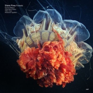 Silent Fires - Forests i gruppen CD / Jazz/Blues hos Bengans Skivbutik AB (3727042)