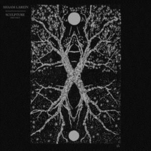 Larein Shaam - Sculpture i gruppen CD / Pop-Rock hos Bengans Skivbutik AB (3727115)