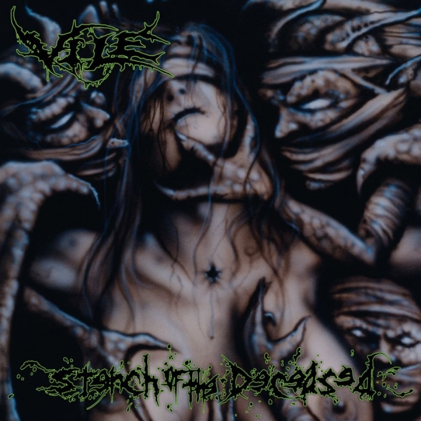 Vile - Stench Of The Deceased i gruppen VINYL / Toppselgere hos Bengans Skivbutik AB (3728935)