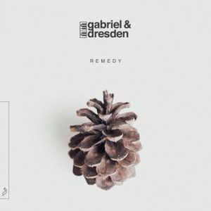 Gabriel & Dresden - Remedy i gruppen CD hos Bengans Skivbutik AB (3729786)