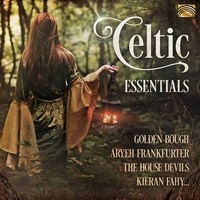 Various - Celtic Essentials i gruppen CD hos Bengans Skivbutik AB (3733856)