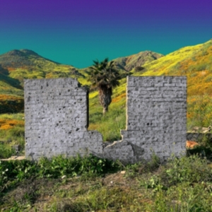 Shopping - All Or Nothing i gruppen VINYL / Pop-Rock hos Bengans Skivbutik AB (3734323)