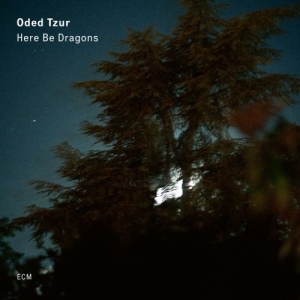 Tzur Oded - Here Be Dragons i gruppen CD hos Bengans Skivbutik AB (3736660)