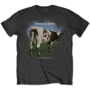   i gruppen Minishops / Pink Floyd hos Bengans Skivbutik AB (3739622r)