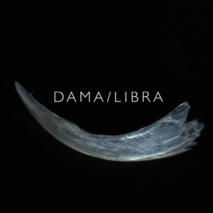 Dama/Libra - Claw i gruppen VINYL / Pop-Rock hos Bengans Skivbutik AB (3744330)