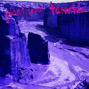 Giant Peach - Tarantula i gruppen VINYL hos Bengans Skivbutik AB (3744345)