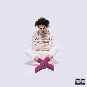 Yungblud - 21st Century Liability i gruppen Labels /  hos Bengans Skivbutik AB (3754555)