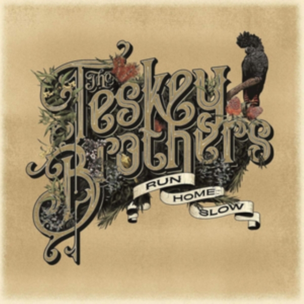 Teskey Brothers - Run Home Slow i gruppen CD / Toppselgere hos Bengans Skivbutik AB (3756007)