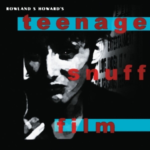 Howard Rowland S. - Teenage Snuff Film i gruppen CD / Pop-Rock hos Bengans Skivbutik AB (3759612)