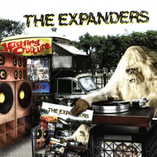Expanders - Hustling Culture i gruppen VINYL / Toppselgere hos Bengans Skivbutik AB (3762068)