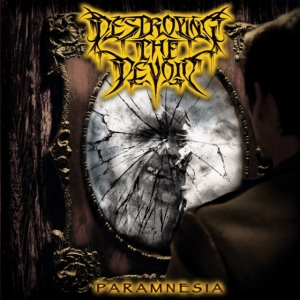 Destroying The Devoid - Paramnesia i gruppen Annet /  hos Bengans Skivbutik AB (3762172)