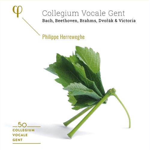 Various - 50Th Anniversary (6 Cd) i gruppen CD hos Bengans Skivbutik AB (3762814)