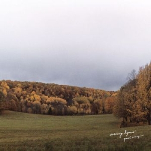 Evening Hymns - Quiet Energies i gruppen VINYL / Pop-Rock,World Music hos Bengans Skivbutik AB (3763614)