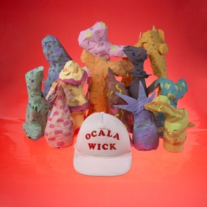 Gobbinjr - Ocala Wick i gruppen VINYL / Rock hos Bengans Skivbutik AB (3763753)