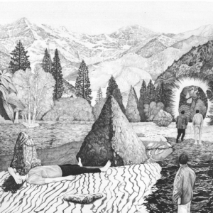 Collette Ned - Old Chestnut (International Only) i gruppen Annet /  hos Bengans Skivbutik AB (3763764)