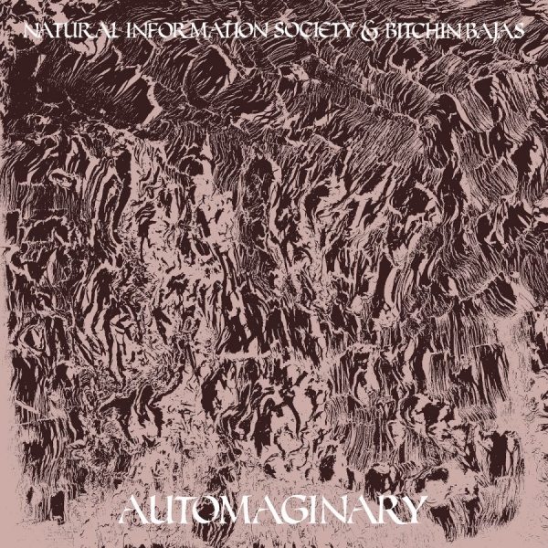 Bitchin Bajas & Natural Information - Automaginary i gruppen VINYL / Toppselgere hos Bengans Skivbutik AB (3763842)