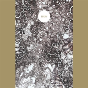 Synapse - Raw i gruppen Annet /  hos Bengans Skivbutik AB (3764323)