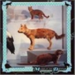 Cohen Danny - Museum Of Dannys i gruppen CD / Pop-Rock hos Bengans Skivbutik AB (3764415)