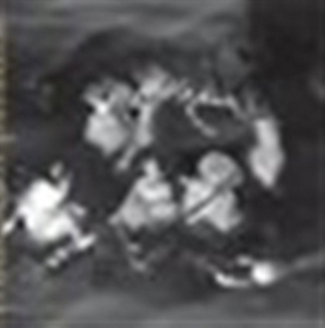 Phantom Orchard Orchestra - Trouble In Paradise i gruppen Annet /  hos Bengans Skivbutik AB (3764580)