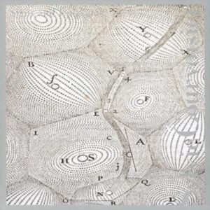 Sylvie Courvoisier - Signs And Epigrams i gruppen Annet /  hos Bengans Skivbutik AB (3764623)