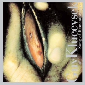 Klucevsek Guy / Orenstein Dora / - Klucevek: Song Of Remembrance i gruppen CD / Pop-Rock hos Bengans Skivbutik AB (3764629)