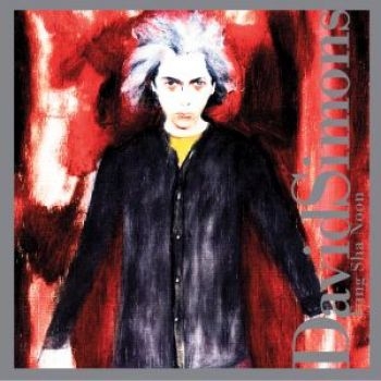 Simons David - Fung Sha Noon i gruppen CD / Pop hos Bengans Skivbutik AB (3764654)