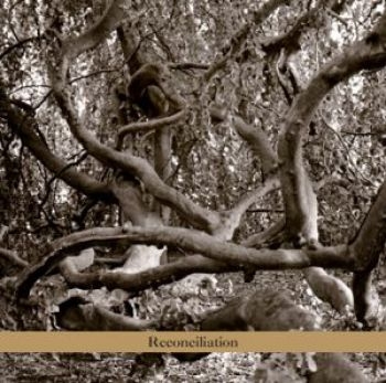 Daphna Sadeh And The Voyagers - Reconciliation i gruppen CD / Toppselgere hos Bengans Skivbutik AB (3764713)